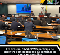 Em BrasÃ­lia, SINSAPP/MS participa de encontro com deputados da comissÃ£o de seguranÃ§a pÃºblica